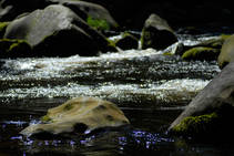 foto/fotoalba/00074/1793/x-chytej.cz-00074-52991.jpg