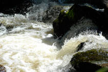 foto/fotoalba/00074/1793/x-chytej.cz-00074-52995.jpg