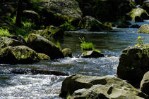 foto/fotoalba/00074/1793/x-chytej.cz-00074-53007.jpg