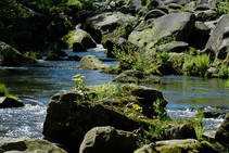 foto/fotoalba/00074/1793/x-chytej.cz-00074-53009.jpg