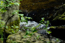 foto/fotoalba/00074/1793/x-chytej.cz-00074-53013.jpg