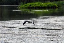 foto/fotoalba/00074/757/x-chytej.cz-00074-00005343.jpg