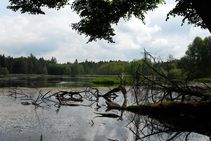 foto/fotoalba/00074/757/x-chytej.cz-00074-00005346.jpg