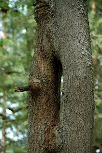 foto/fotoalba/00074/757/x-chytej.cz-00074-00005351.jpg