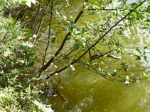 foto/fotoalba/00080/4800/x-chytej.cz-00080-00040372.jpg
