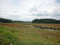 foto/fotoalba/00080/4972/x-chytej.cz-00080-00039477.jpg