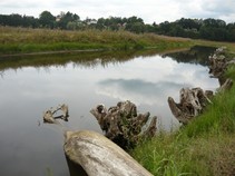 foto/fotoalba/00080/4972/x-chytej.cz-00080-00039479.jpg
