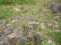 foto/fotoalba/00080/4972/x-chytej.cz-00080-00039484.jpg