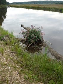foto/fotoalba/00080/4972/x-chytej.cz-00080-00039486.jpg