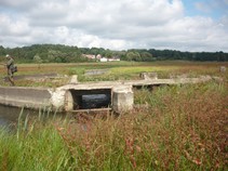 foto/fotoalba/00080/4972/x-chytej.cz-00080-00040352.jpg