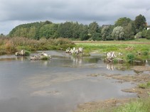 foto/fotoalba/00080/4972/x-chytej.cz-00080-00040355.jpg
