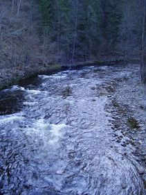 foto/fotoalba/00146/716/x-chytej.cz-00146-00004826.jpg