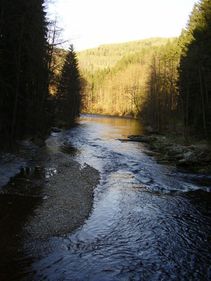 foto/fotoalba/00146/716/x-chytej.cz-00146-00004827.jpg