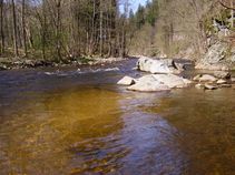 foto/fotoalba/00146/716/x-chytej.cz-00146-00004831.jpg