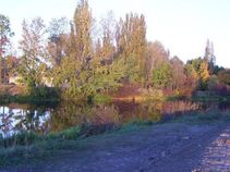 foto/fotoalba/00247/510/x-chytej.cz-00247-00003474.jpg