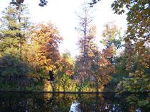 foto/fotoalba/00247/510/x-chytej.cz-00247-00003584.jpg