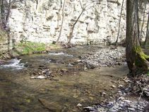 foto/fotoalba/00247/709/x-chytej.cz-00247-00004748.jpg