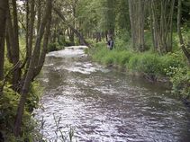 foto/fotoalba/00332/353/x-chytej.cz-00332-00002188.jpg