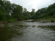 foto/fotoalba/00367/1878/x-chytej.cz-00367-00014720.jpg