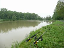 foto/fotoalba/00367/3467/x-chytej.cz-00367-00026447.jpg