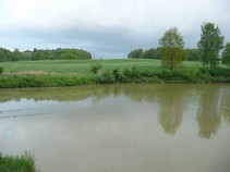 foto/fotoalba/00367/3467/x-chytej.cz-00367-00026489.jpg