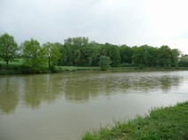 foto/fotoalba/00367/3467/x-chytej.cz-00367-00026491.jpg
