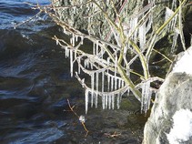 foto/fotoalba/00392/5385/x-chytej.cz-00392-00042960.jpg