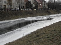 foto/fotoalba/00392/5440/x-chytej.cz-00392-00043254.jpg
