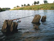 foto/fotoalba/00418/935/x-chytej.cz-00418-00007051.jpg