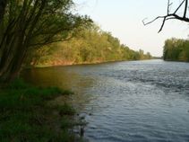 foto/fotoalba/00633/522/x-chytej.cz-00633-00003403.jpg