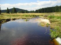 foto/fotoalba/00670/460/chytej.cz-00670-00002994.jpg