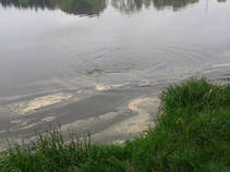 foto/fotoalba/00859/6601/x-chytej.cz-00859-52937.jpg