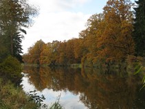 foto/fotoalba/01415/4743/x-chytej.cz-01415-00036863.jpg