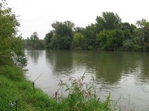 foto/fotoalba/01415/4743/x-chytej.cz-01415-00036865.jpg