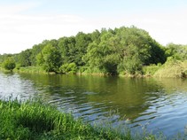 foto/fotoalba/01415/4743/x-chytej.cz-01415-00036867.jpg