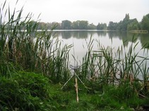 foto/fotoalba/01415/4743/x-chytej.cz-01415-00036874.jpg