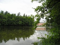 foto/fotoalba/01415/4743/x-chytej.cz-01415-00036875.jpg