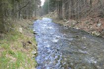 foto/fotoalba/01466/1185/chytej.cz-01466-00009207.jpg