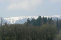 foto/fotoalba/01466/1185/x-chytej.cz-01466-00009214.jpg