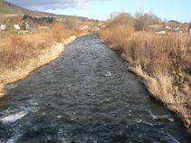foto/fotoalba/01466/1185/x-chytej.cz-01466-00009220.jpg