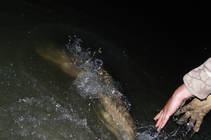 foto/fotoalba/01491/7498/x-chytej.cz-01491-63721.jpg
