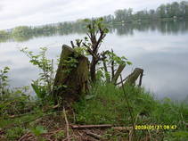 foto/fotoalba/01711/6691/x-chytej.cz-01711-54004.jpg