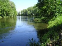 foto/fotoalba/01857/373/x-chytej.cz-01857-00002384.jpg