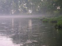 foto/fotoalba/01857/373/x-chytej.cz-01857-00002385.jpg