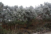 foto/fotoalba/02005/3212/x-chytej.cz-02005-00024783.jpg