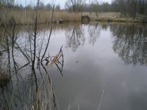 foto/fotoalba/02126/1076/x-chytej.cz-02126-00008125.jpg