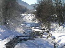 foto/fotoalba/02298/351/x-chytej.cz-02298-00002172.jpg