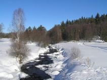 foto/fotoalba/02298/351/x-chytej.cz-02298-00002173.jpg
