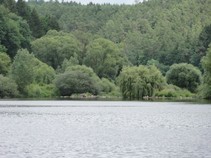 foto/fotoalba/02392/4777/x-chytej.cz-02392-00037310.jpg