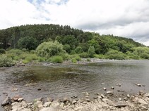 foto/fotoalba/02392/4777/x-chytej.cz-02392-00037311.jpg
